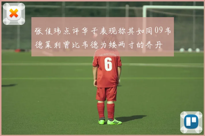 张佳玮点评华子表现称其如同09韦德莱利曾比韦德为矮两寸的乔丹