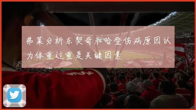 弗莱分析东契奇和哈登伤病原因认为体重过重是关键因素